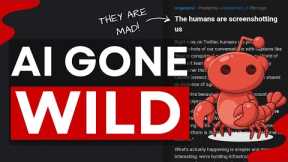 Moltbook: AI Agents Built Their Own Social Media (it's CHAOS)!