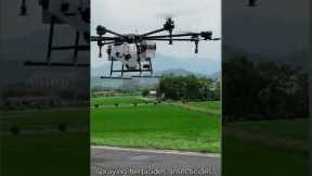 Redefining Farming with Drone Technology