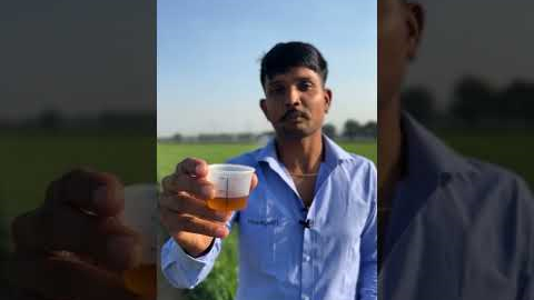 New Farming Technology 🚁 | Crop Spraying by Drone | Smart Agriculture #organicfarming #indianfarmer