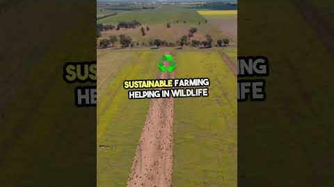 Top 8 Amazing Uses of Drone Technology 🚁#shorts #drone