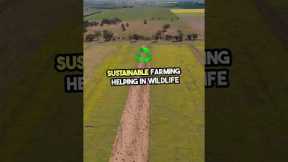 Top 8 Amazing Uses of Drone Technology 🚁#shorts #drone