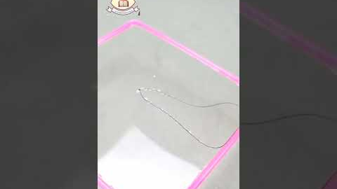 3 science magic || amazing science trick || #science #viral #tricks #amazing #expriment #magic