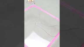 3 science magic || amazing science trick || #science #viral #tricks #amazing #expriment #magic