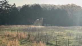 Drone technology takes off in East Tennessee farming