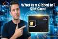 Global IoT SIM Cards vs Standard SIM: 