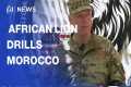 African Lion 2026: Multinational