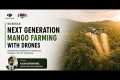 Next-Generation Mango Farming | Drone 