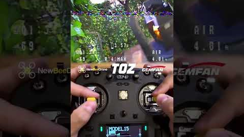 Only FPV castle #DroneLife #FPV